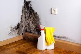 Reliable Linganore, MD Mold Prevention & Removal  Solutions